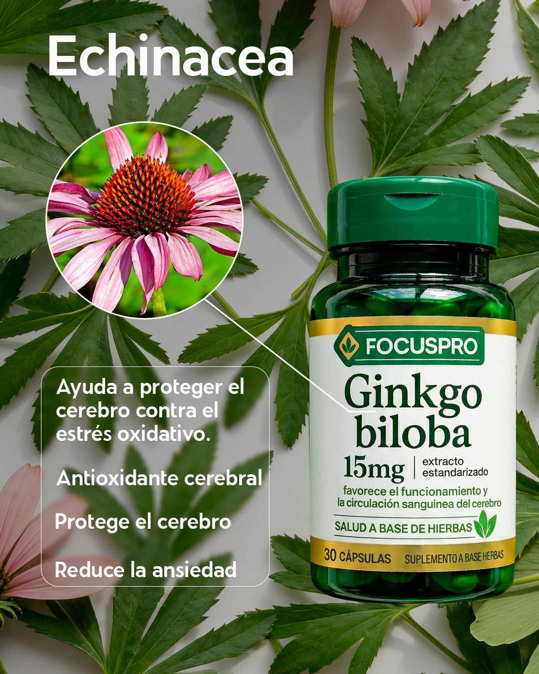 FocusPro - Apoyo para Memoria, Enfoque y Bienestar Mental - 30 Cápsulas 💊